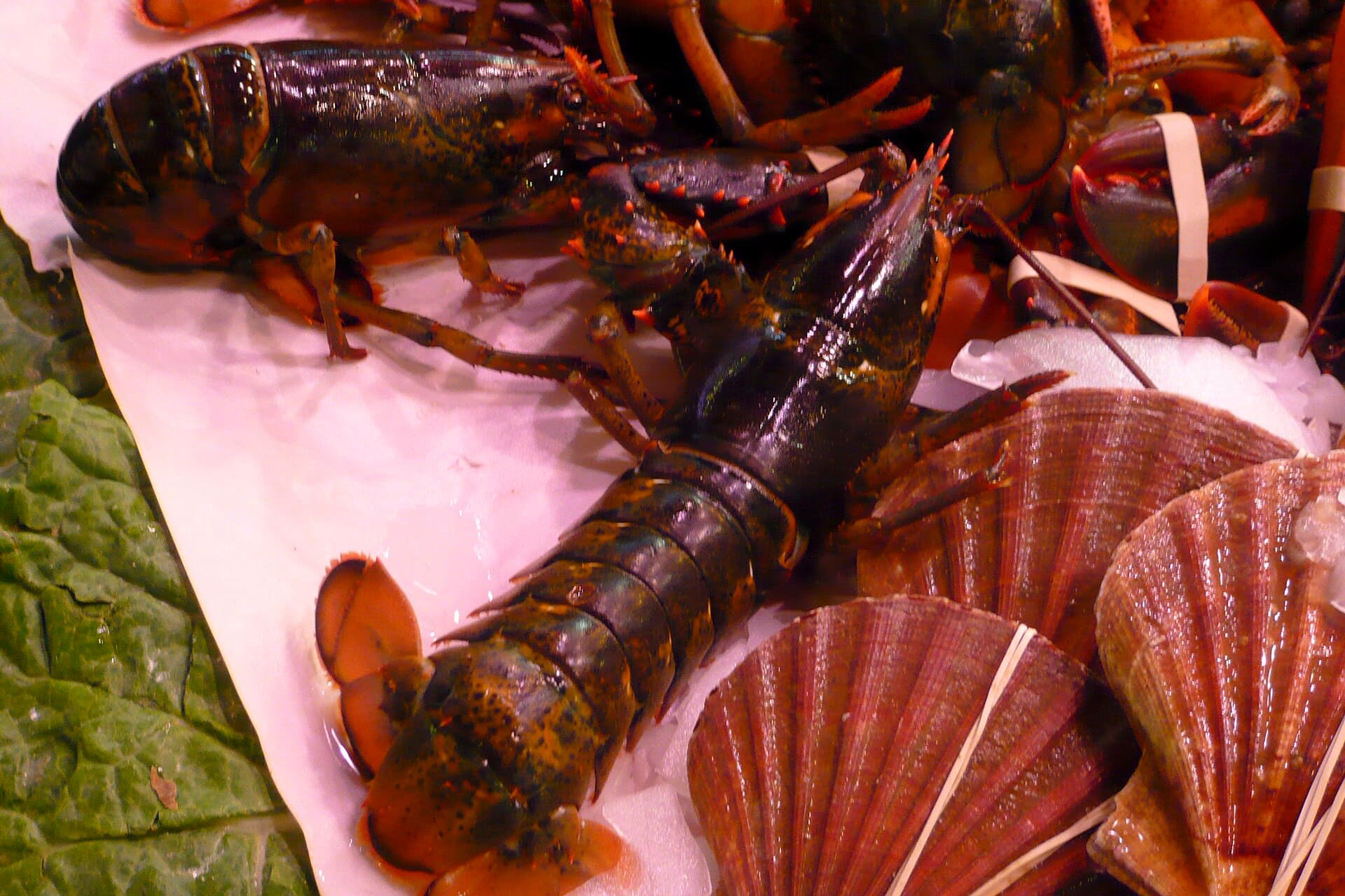 Fresh seafood on ice at the JanjiSEGAR market