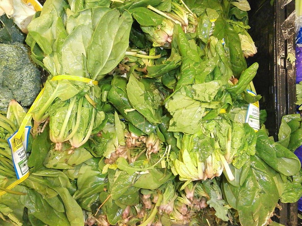 Bayam (苋菜)