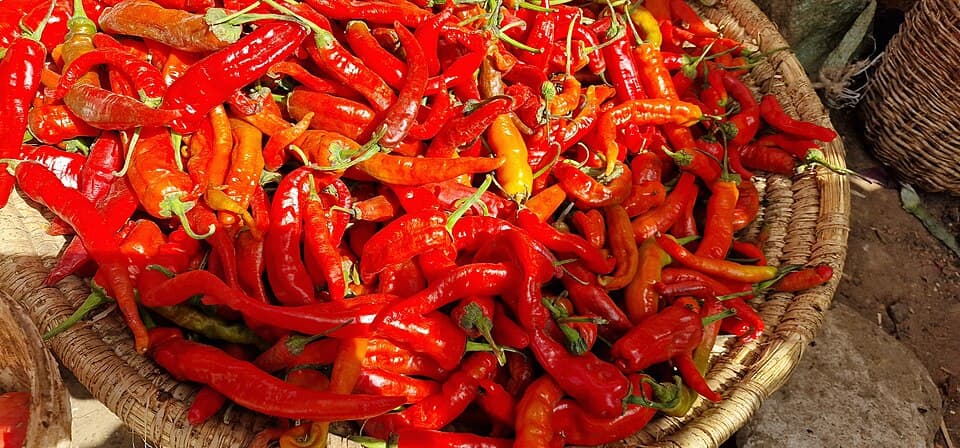 Cili Merah (红辣椒)