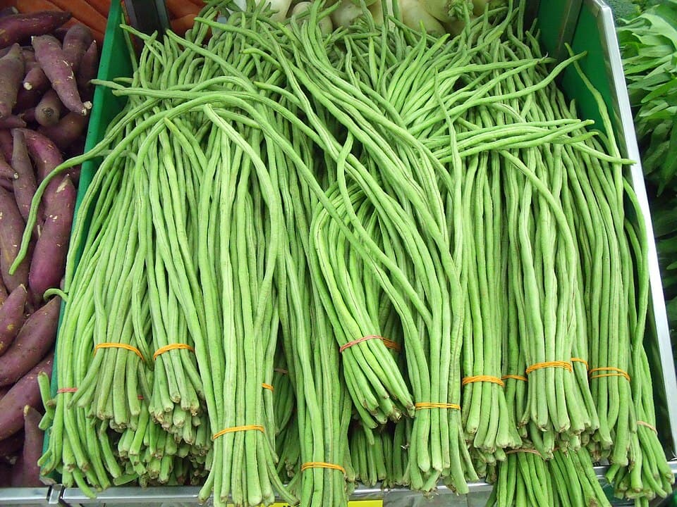 Kacang Panjang (长豆)