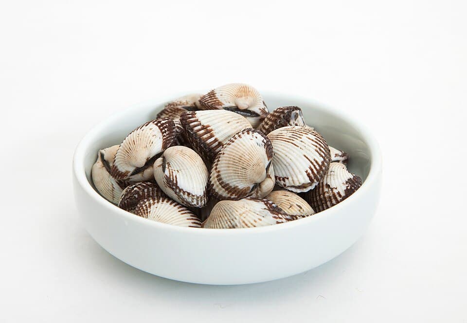 Kerang (血蚶)