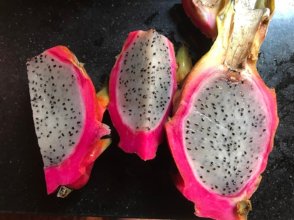 Buah Naga (火龙果)