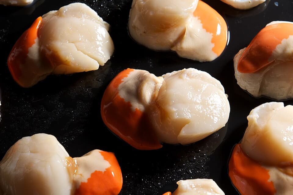 Scallop (带子)